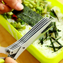 Multifunction Vegetable Stainless Steel Herbs Scissor With 5 Blades (1 Pc)