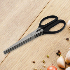 Multifunction Vegetable Stainless Steel Herbs Scissor with 5 Blades (1 Pc)